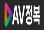 AV정복