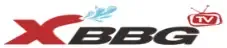엑스비비기